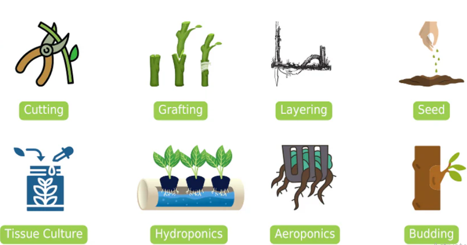 Propagation Method