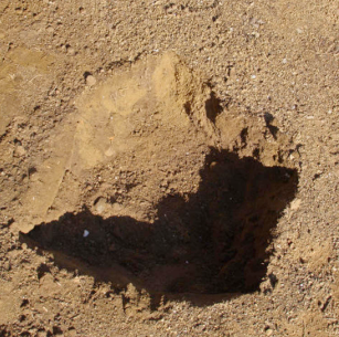 Digging the Hole