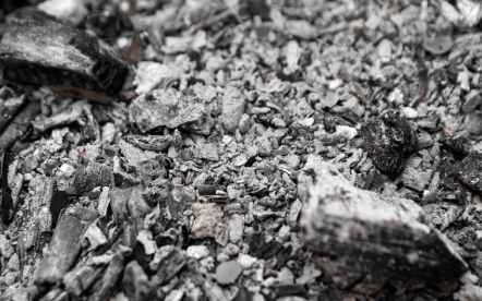 Wood Ashes