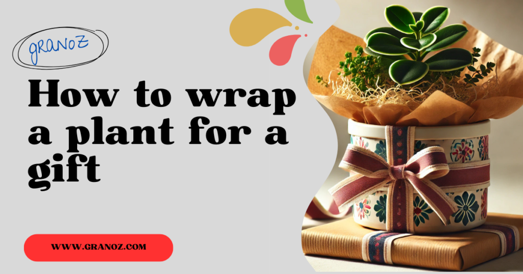 How to wrap a plant for a gift