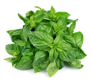 basil leaves